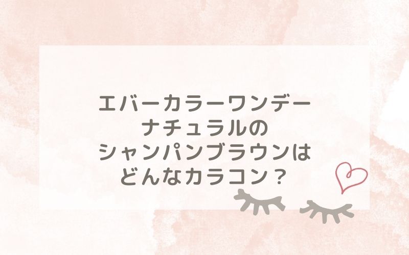 エバーカラーワンデーナチュラルのシャンパンブラウンはどんなカラコン？特徴は